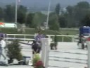 Mistrzostwa Europy Pony 2008