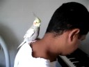 Dueto Dueto