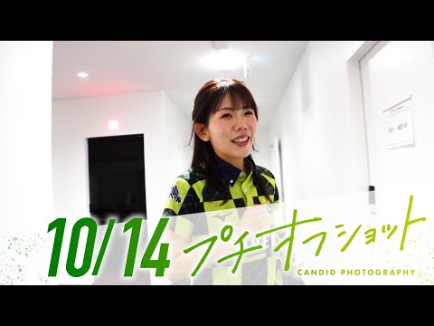 公式オフショット