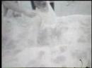 Serino 65 Beach Video