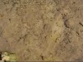 Freshwater source2