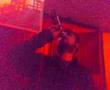 sagopa kayseri VAS�YET sonunu benim i�in s�ledi sanki