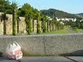 Suicidio del Marani.wmv