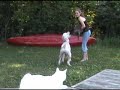 Josie walks with cats