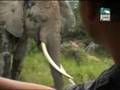 Discovery Channel/ Enrique and Friends Singing Discovery Channel/ Enrique and Friends Singing