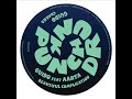 Guido feat. Aarya 'Beautiful Complication' Punch Drunk Records
