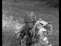 dday 1 carentan