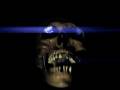 videos de Skull