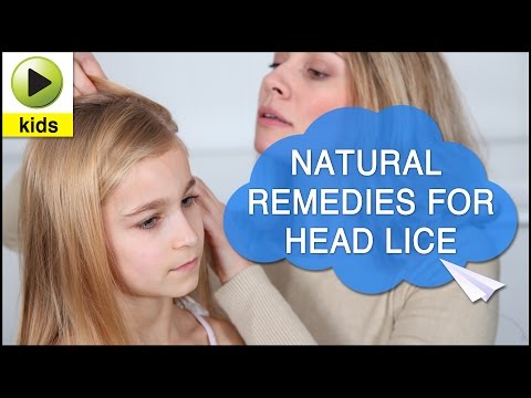 how to treat for lice