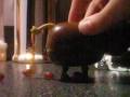videos de 100 0621