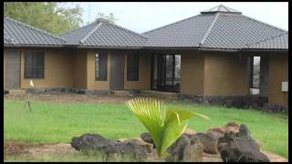 Building With Bamboo: Why Bamboo Homes Are Eco-Friendly 