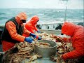 ALASKA FISHING BOATS (BEST JOB IN WORLD)