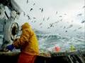 ALASKA FISHING BOATS (BEST JOB IN WORLD)