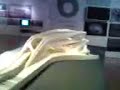 Museo in Abu Dhabi