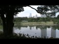 Hama Detatched Palace Gardens (Slowdive - Alison)