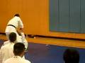 Shorinji Kempo Technique