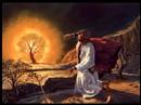 Acts 7 (Old Testiment)