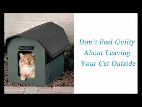 how to provide shelter for outdoor cats