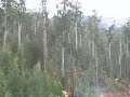 World Heritage Action Team - defending the Weld Valley World Heritage Action Team - defending the Weld Valley