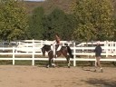 Princessa Vaulting Princessa Vaulting