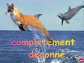 ma pupuce d'amour