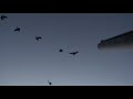 1st Barrel Cam Goose Kill with SWAT 1st Barrel Cam Goose Kill with SWAT