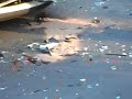 Kraksa w Zielonej Gorze