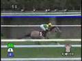 2007.09.08 コスモス賞 ヤマカツオーキッド