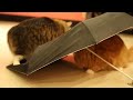 Bonbon The Siberian Cat (maru's Long Lost Twin) Vs Katsu