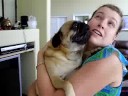 Pugs