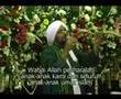 HABIB UMAR DI INDONESIA 1429 H