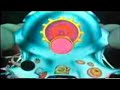 Chemestry Cut-Away