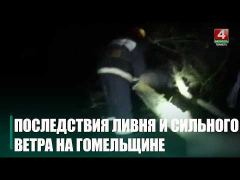Последствия непогоды 7 июня на Гомельщине оперативно ликвидировали сотрудники МЧС видео