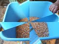 Electric mill .......pt 1 (corn)