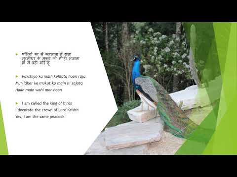 10 lines on peacock in english for class 3 picture