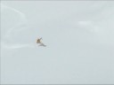 why skiing is better than playing poker