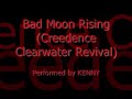Creedence Clearwater Revival - Bad Moon Rising (Cover)