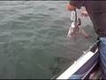 1st Fishing In The Ocean