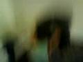 videos de dirum la flota