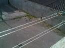 Smart Rat