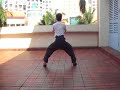 Hung Gar Gung Chi Fook Gu