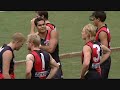 Hawks vs Essendon Round 6 AFL - Part 1