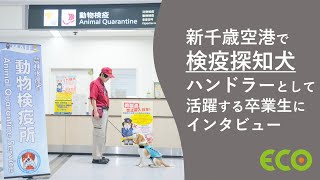 北海道エコ　Youtube Pickup!