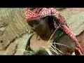 Afar