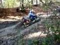 Quads dans un bourbier à Forest Hill