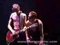 TOY DOLLS . TOCCATA . LIVE FROM JAPAN
