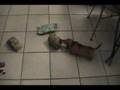 Puppies Open Presents on Christmas 