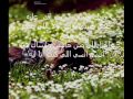 قلبي سالني عليك ...رورو الكركي.wmv