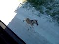 MOV09341.MPG