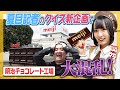 【陽キャおバカ】新企画！夏目記者の社会科見学で衝撃クイズ展開！【解けるかな】